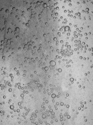 Bubble detection Object Detection Dataset by Uni project