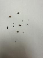 Mixed Weed Seeds project thumbnail