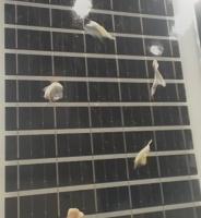 solar panel defect segmentation project thumbnail