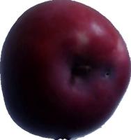 First_Label(fruits) 2 project thumbnail