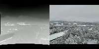 Animals in airborne videos project thumbnail