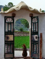 Dataset Image