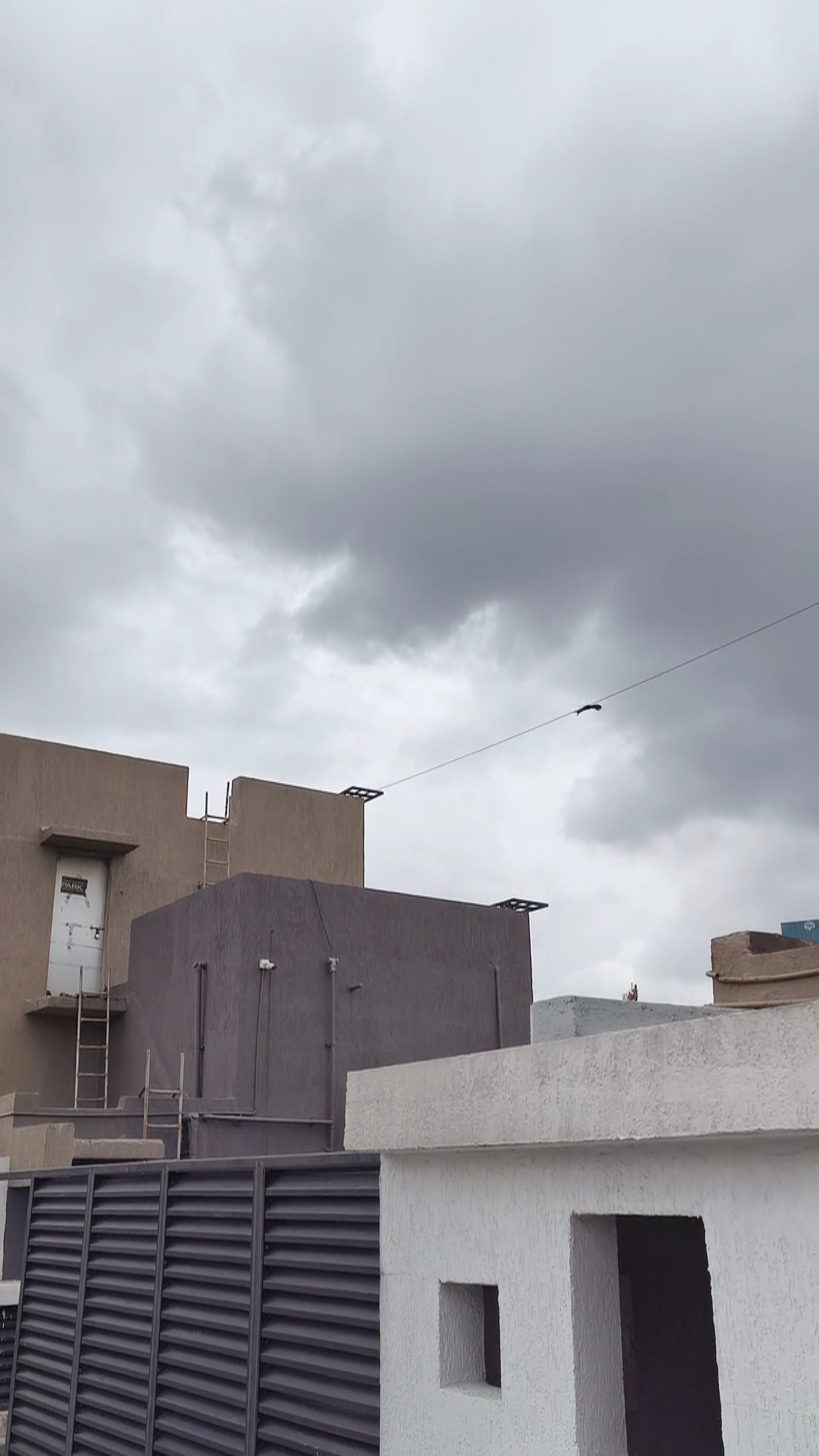 Birds Object Detection Model by Drone