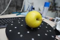 fruit-detect-test project thumbnail