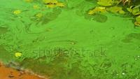 river-water-quality-segmentation project thumbnail