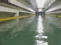 Buoys project thumbnail