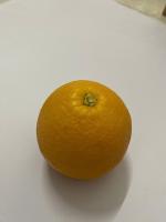 Segmentation_many_orange project thumbnail