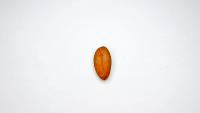 Cacao Grades project thumbnail