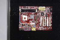 Dataset Image