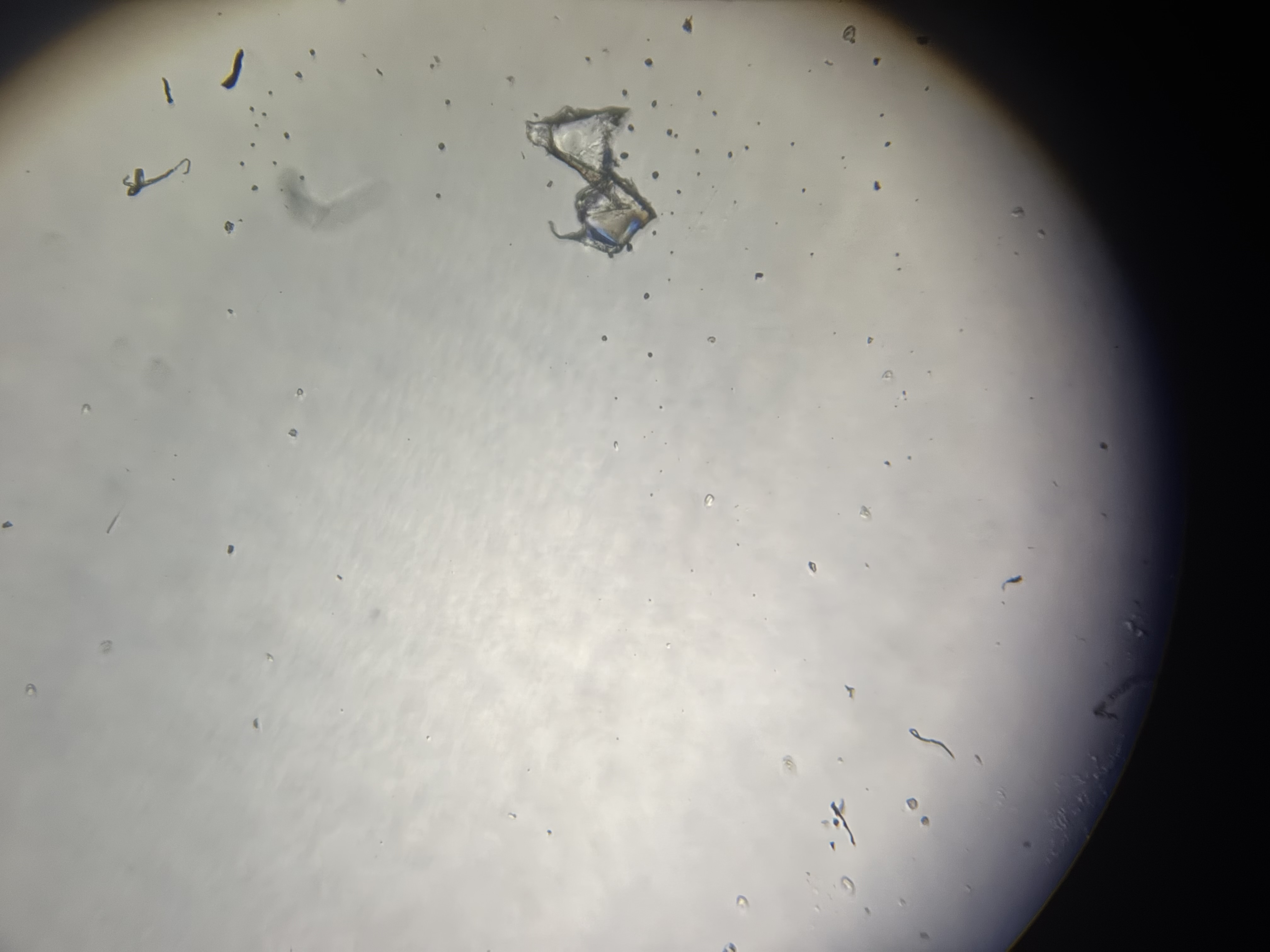 Microplastic type Object Detection Model by Object detection