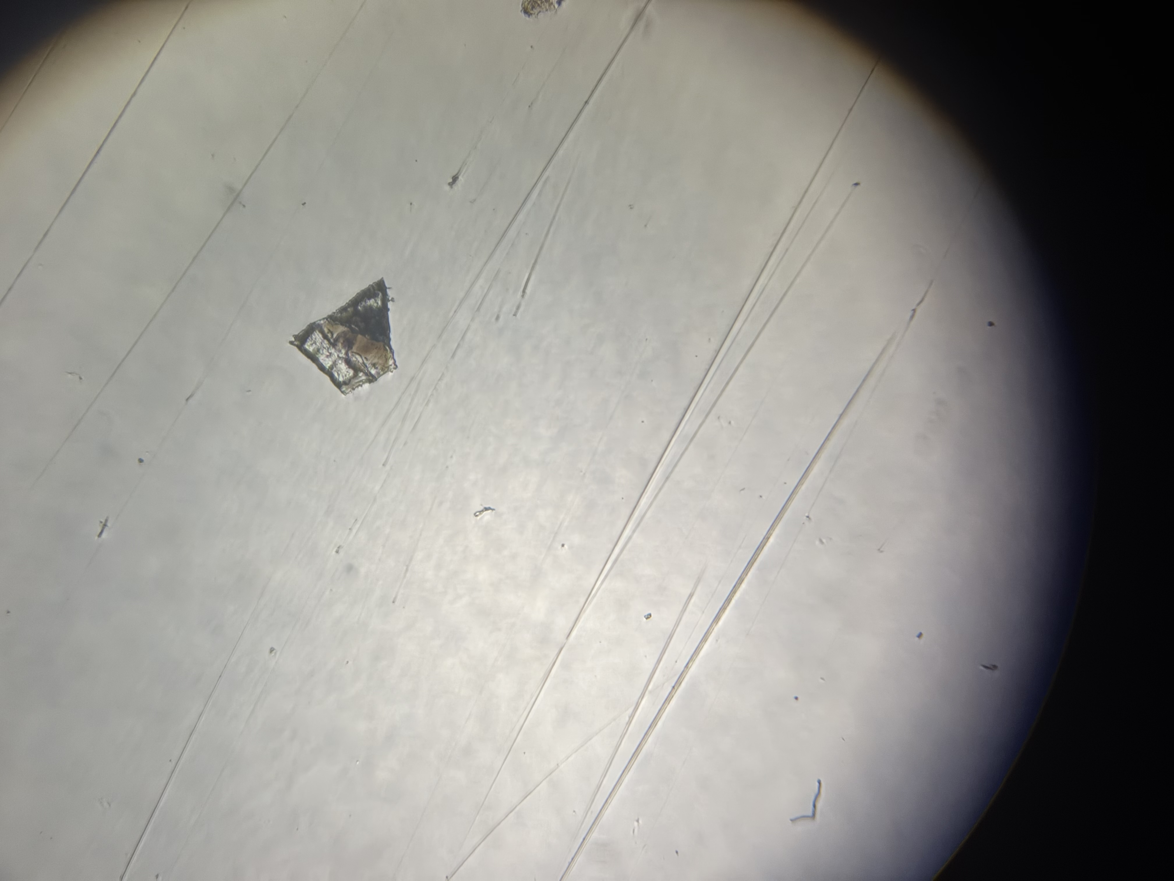 Microplastic detection Object Detection Dataset by Object detection