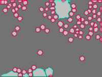 Annotation Visualization