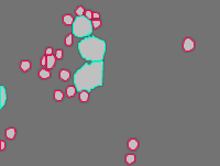 Annotation Visualization