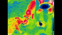 Thermal project thumbnail