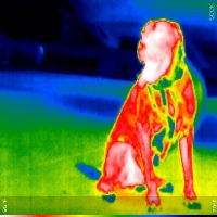 Thermal_test project thumbnail