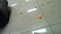 pingpong project thumbnail