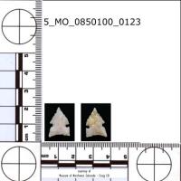 side-notched-c2 project thumbnail