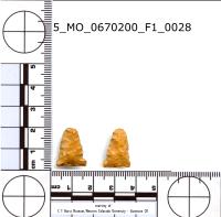 side-notched-cb2 project thumbnail