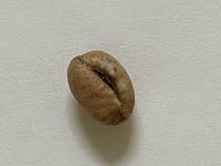 Cofeebean2 project thumbnail
