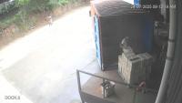 box detection project thumbnail