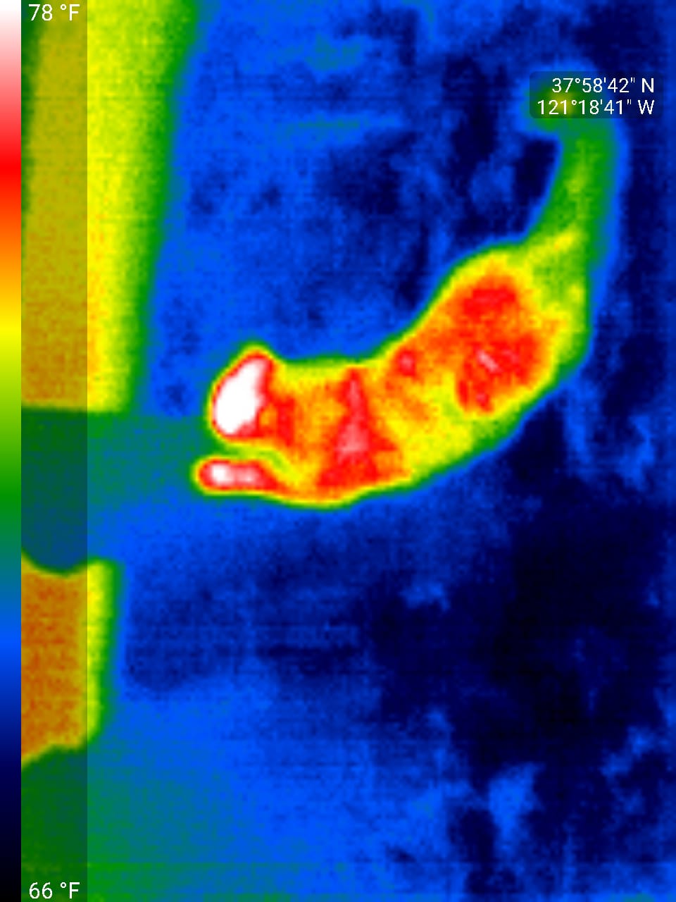 Animal Detection Thermal Object Detection Model by ro