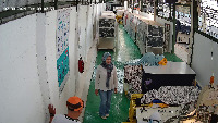 person-in-cutting-14 project thumbnail