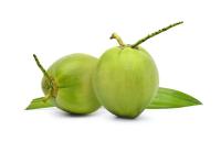 Coconut_2 project thumbnail