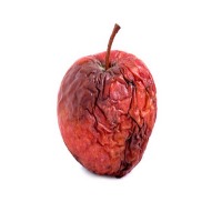 rotten apple project thumbnail