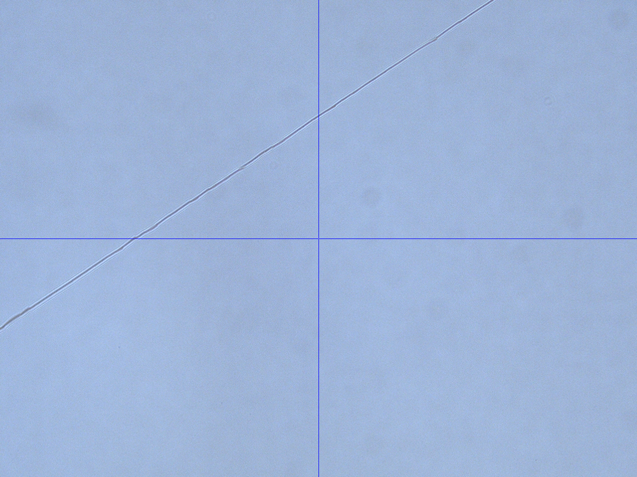 spot_line_detection Object Detection Model by MaskPhoto