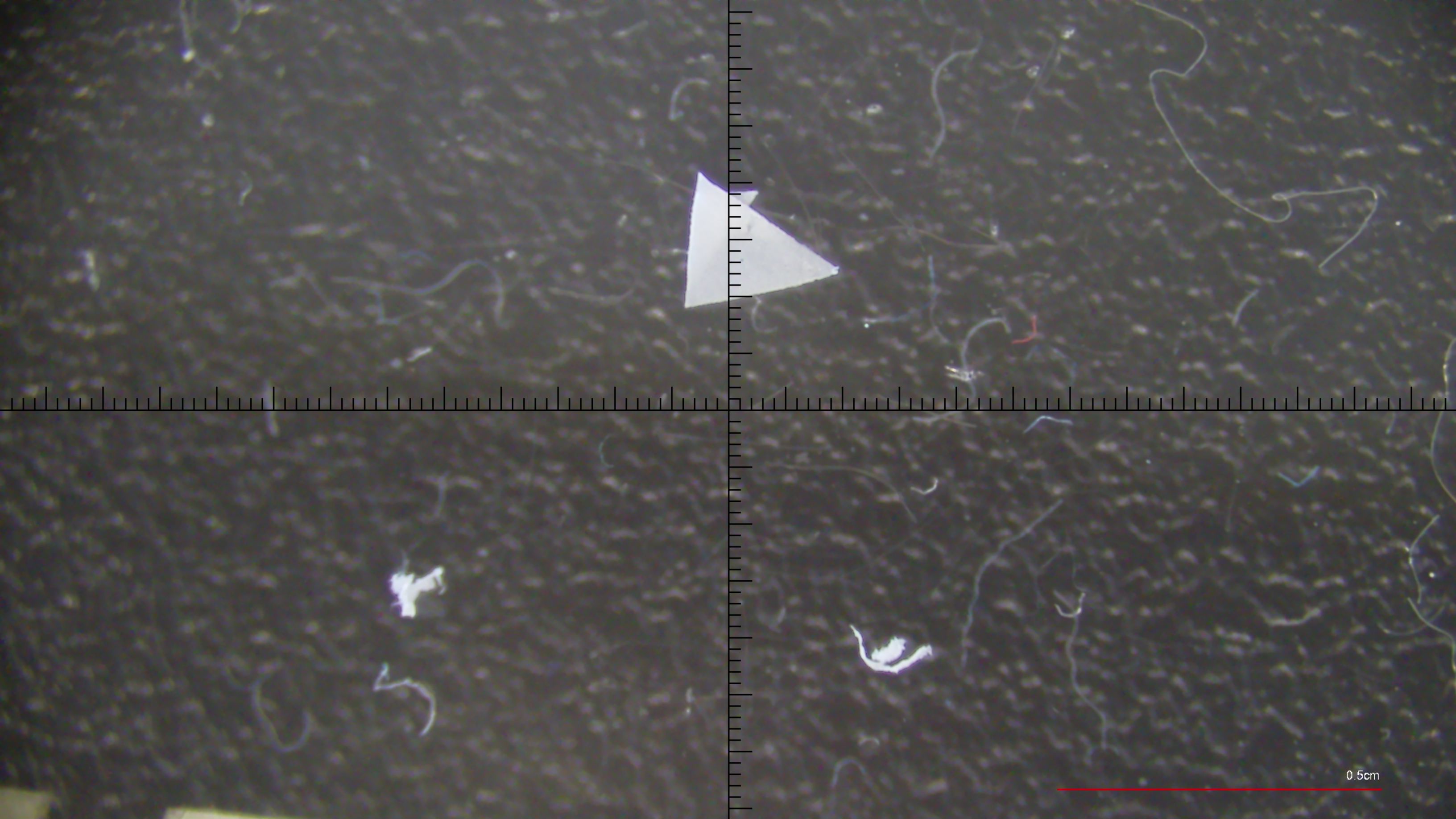 Polymer Detection Object Detection Dataset by Microplastic Annotations