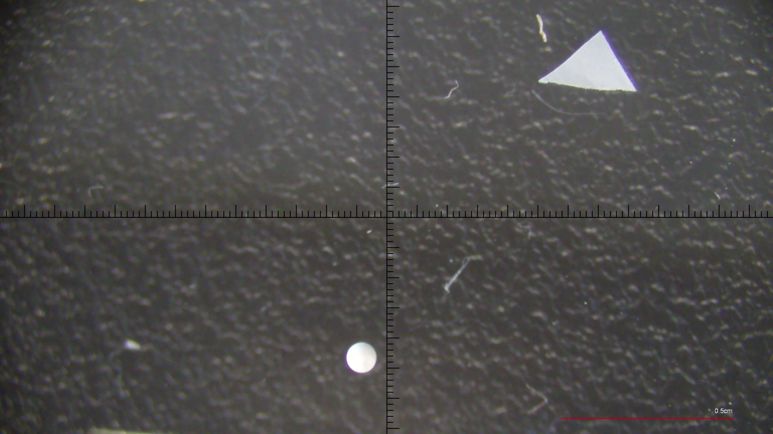 Polymer Detection Object Detection Dataset by Microplastic Annotations