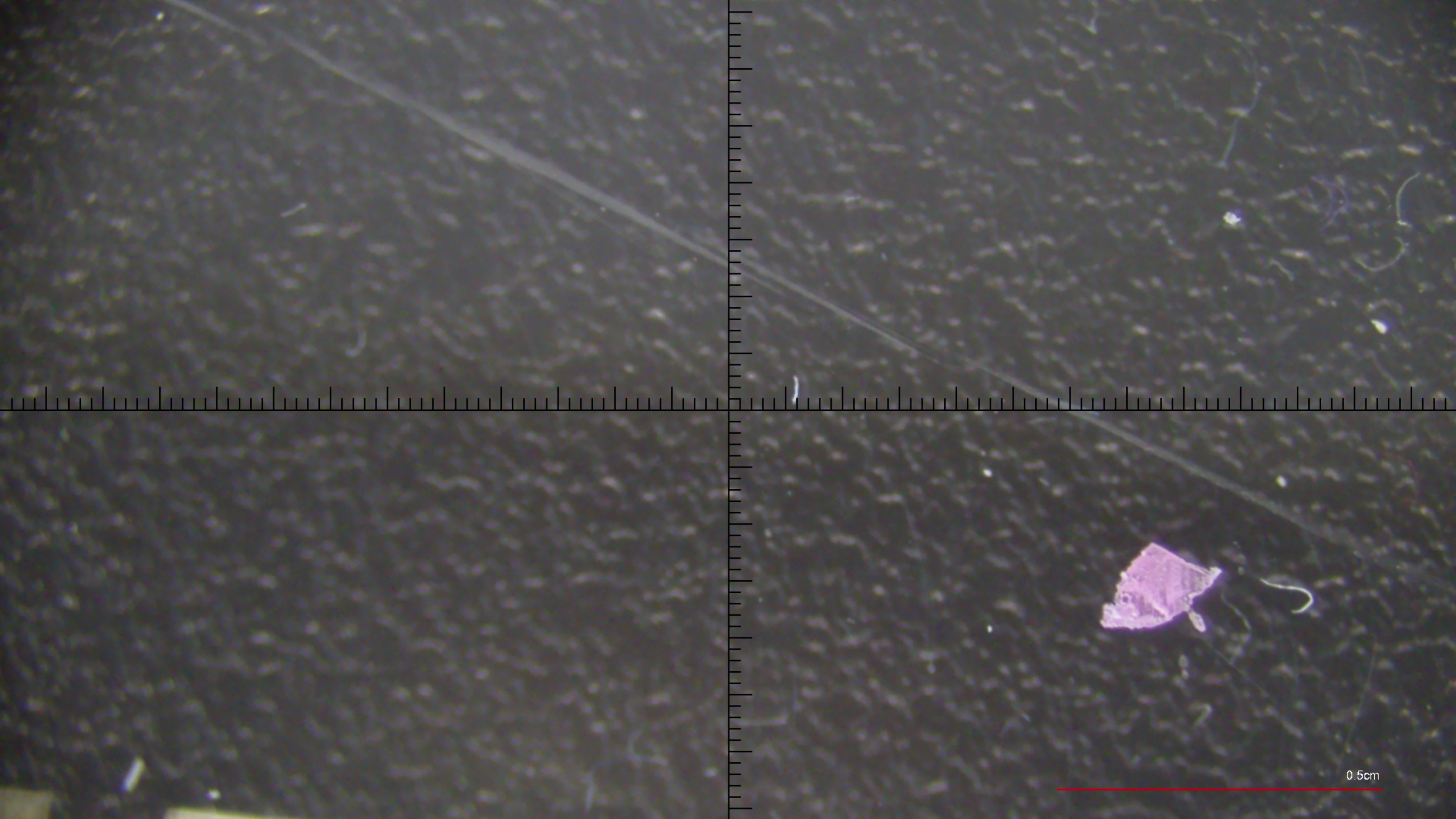 Microplastic Annotations Object Detection Dataset by Microplastic ...