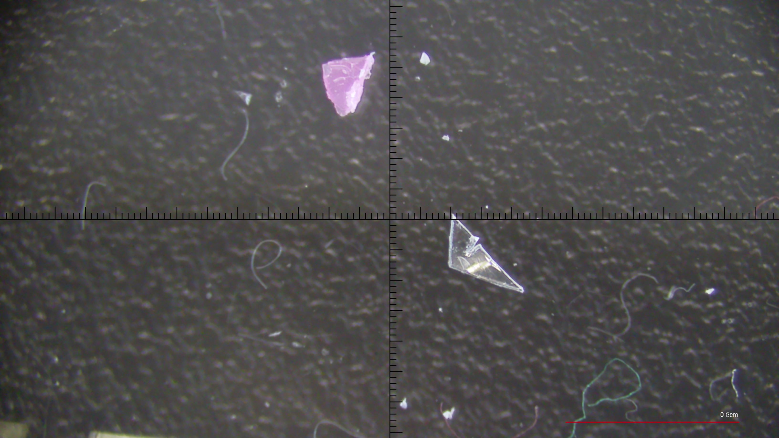 Microplastic Annotations Object Detection Dataset by Microplastic ...