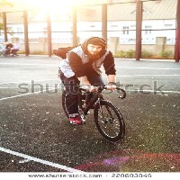 Dataset Image