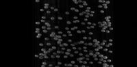 output1_655_1215 project thumbnail