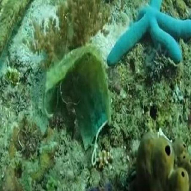 OceanTesteRoboflow Object Detection Model by Testeparte2
