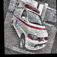 Dataset Image