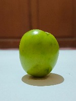 Dataset Image
