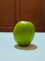 Dataset Image