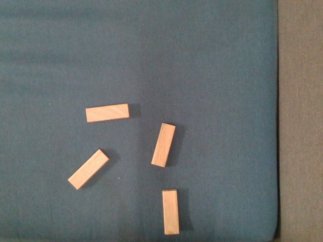 segmantation_wood Instance Segmentation Model by gannhan
