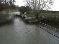 flood or no flood project thumbnail