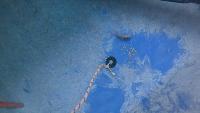 Original fish detection pipeline project thumbnail