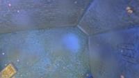 fish detection sam3 project thumbnail