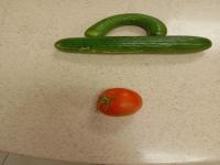 fruit and veg old model project thumbnail