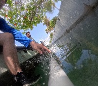 Fishes detection project thumbnail