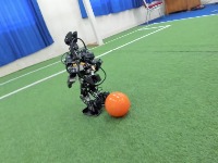 Dataset Image