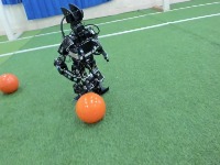 Dataset Image