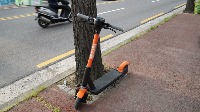 Deep_Learning_Project_Neglect project thumbnail