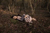 Dataset Image