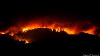 Fire Detaction project thumbnail